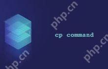 如何在 Linux 中复制和重命名文件？