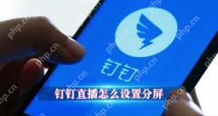 钉钉直播怎么分屏