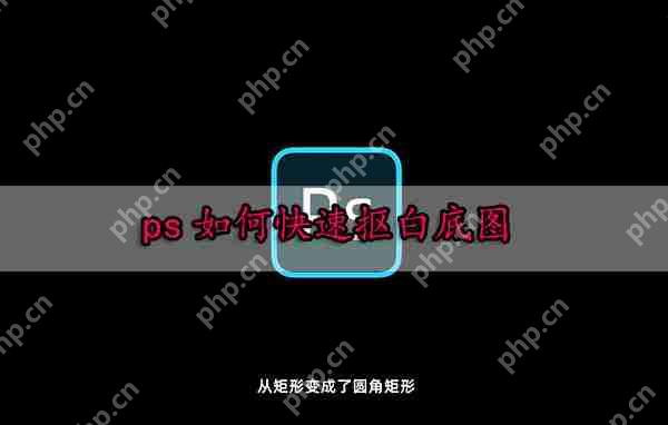 ps如何快速抠白底图