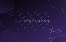 Linux显示文件描述符命令：fd