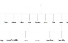 【Linux】Linux文件