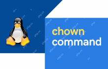 Linux更改文件和目录的所有权经常使用的命令：chown 和 chgrp