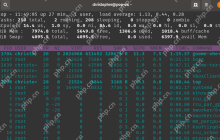 在 Linux 中使用 Top 命令检查和排序 CPU 使用率？