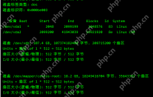 Linux Centos 挂载磁盘教程