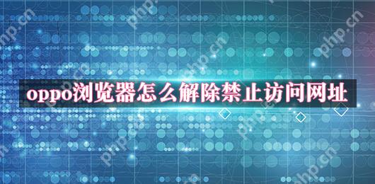 oppo浏览器怎么解除禁止访问网址
