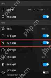 荣耀来电视频如何关闭