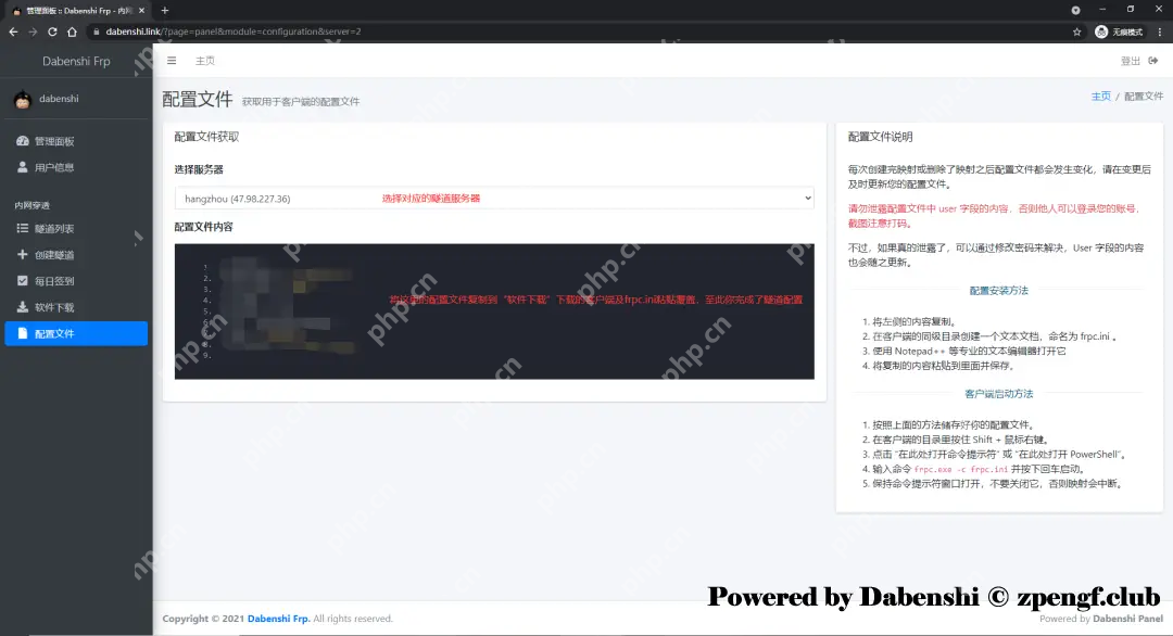 Dbenshi Frp项目使用指南
