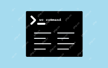 在Linux中如何使用`wc`命令进行字符统计？