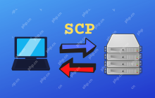 如何在Linux系统中使用SCP命令传输文件和文件夹？