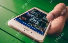 小程序的自定义模块开发与功能扩展实践