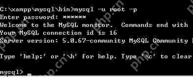 xampp的mysql密码怎么设置?mysql密码设置流程介绍