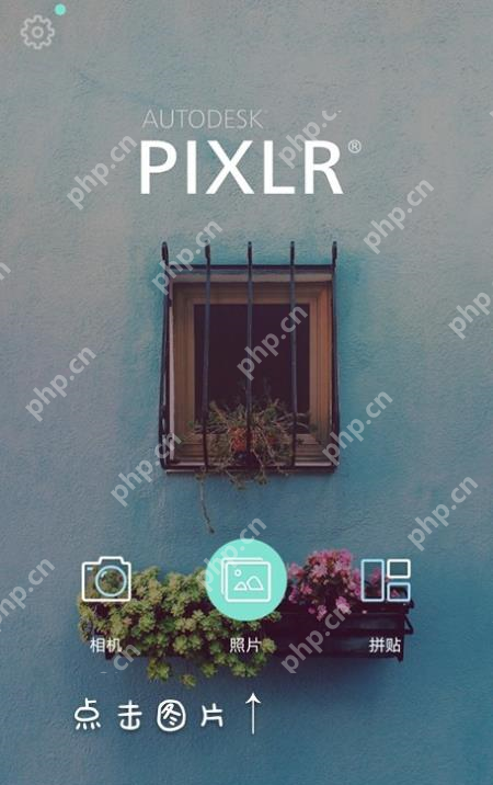 Pixlr怎么设置分割字？设置分割字步骤说明