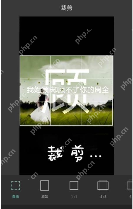 Pixlr怎么设置分割字？设置分割字步骤说明