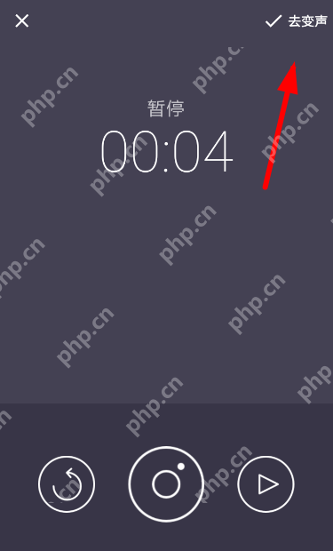 专业变声器APP怎么使用？专业变声器使用方法说明
