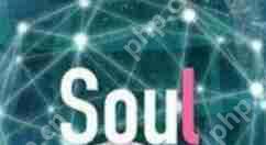 soul如何进行注销？soul进行注销的流程分享