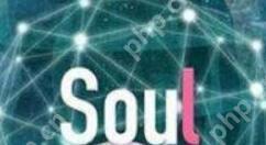 soul如何进行注销？soul进行注销的流程分享