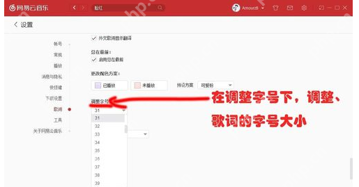 网易云音乐怎么更改歌词设置 更改歌词设置步骤分享