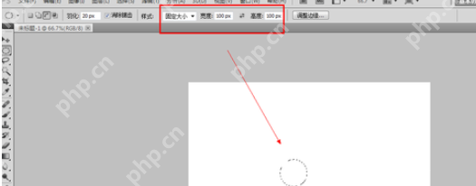 在photoshop里怎么使用选区样式？使用选区样式的流程介绍