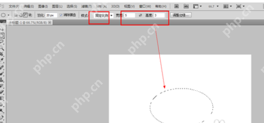 在photoshop里怎么使用选区样式？使用选区样式的流程介绍