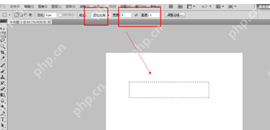 在photoshop里怎么使用选区样式？使用选区样式的流程介绍