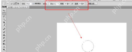 在photoshop里怎么使用选区样式？使用选区样式的流程介绍