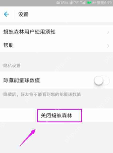 蚂蚁森林怎么关闭 关闭蚂蚁森林图文教程