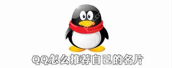 QQ怎么推荐自己的名片?QQ推荐自己的名片步骤详解