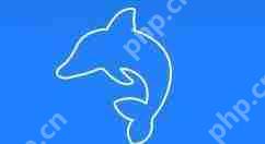 sqlyog智能提示怎么设置?sqlyog智能提示设置流程分享