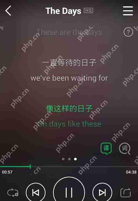 qq音乐怎么翻译歌词？翻译歌词操方法详解