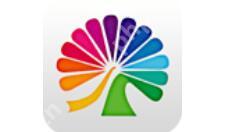 大麦APP怎么设置免密支付?设置免密支付流程分享