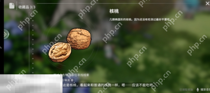 开放空间瓶中小径收藏品在哪 开放空间瓶中小径收藏品位置一览