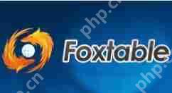 Foxtable怎么设置表标题？表标题细节设置推荐