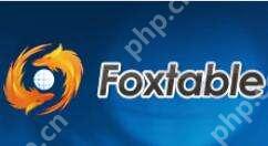 Foxtable项目属性怎么操作?项目属性操作方式一览