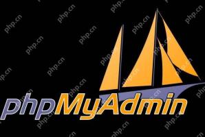 利用PHPMyAdmin导入数据时进行数据验证和清洗