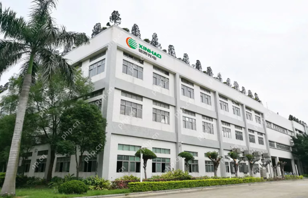 信濠光电2024年营收16.87亿元,净利润同比由盈转亏