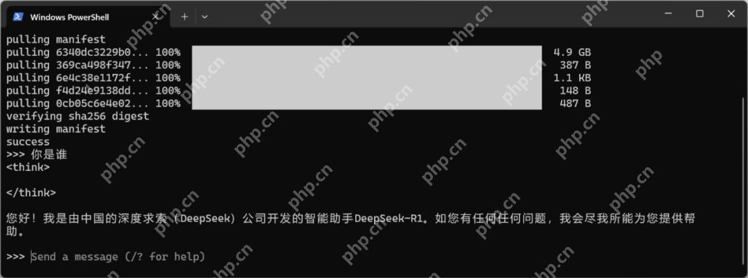 一文读懂！DeepSeek超简易本地部署教程