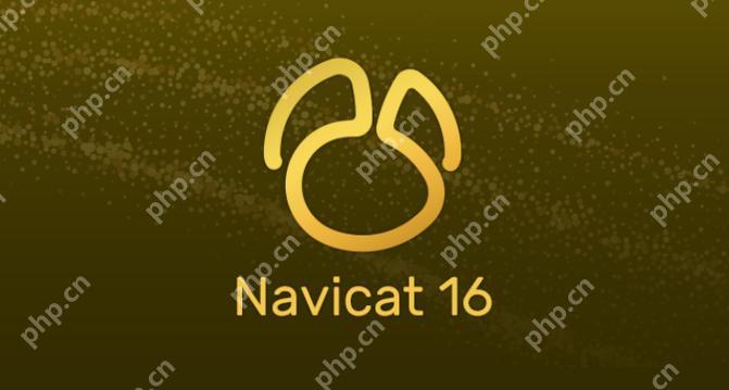 如何在Navicat中执行SQL语句实现数据加密