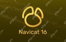 如何在Navicat中执行SQL语句实现数据加密