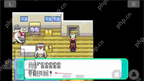 口袋妖怪绿宝石493版设定时间方法攻略