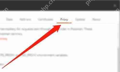 Postman怎么使用代理-Postman使用代理的教程