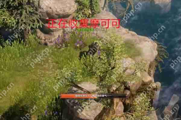 命运方舟鲸鱼岛摩可可种子在哪-命运方舟鲸鱼岛摩可可种子位置一览