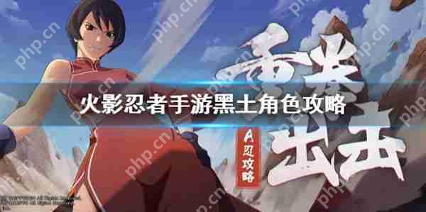 火影忍者黑土博人传玩法攻略