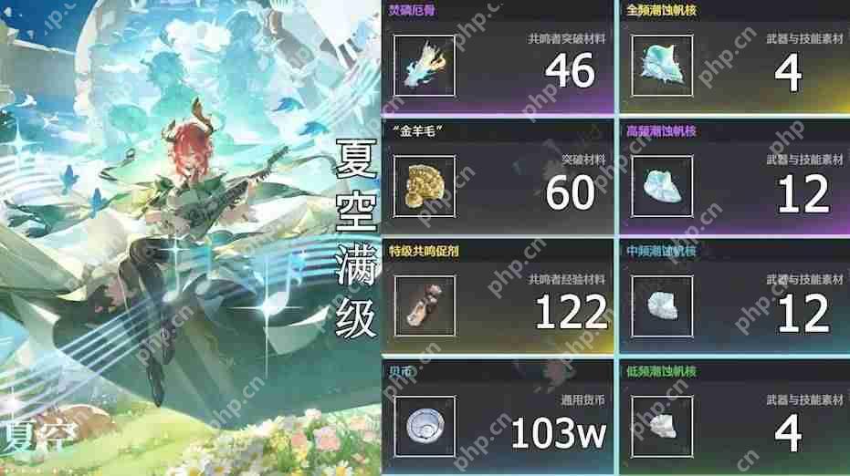 鸣潮夏空培养材料一览