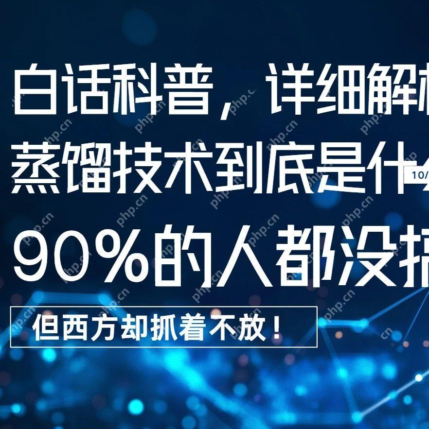 白话科普 | DeepSeek的蒸馏技术到底是什么？90%的人都没搞懂，但西方却抓着不放！