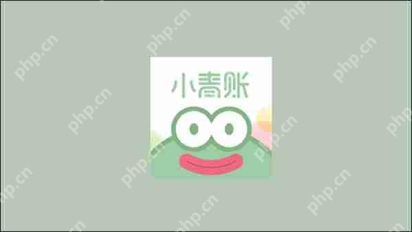 小青账隐藏默认账本方法教程