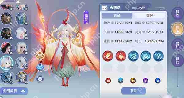 梦幻新诛仙新手宠物培养攻略