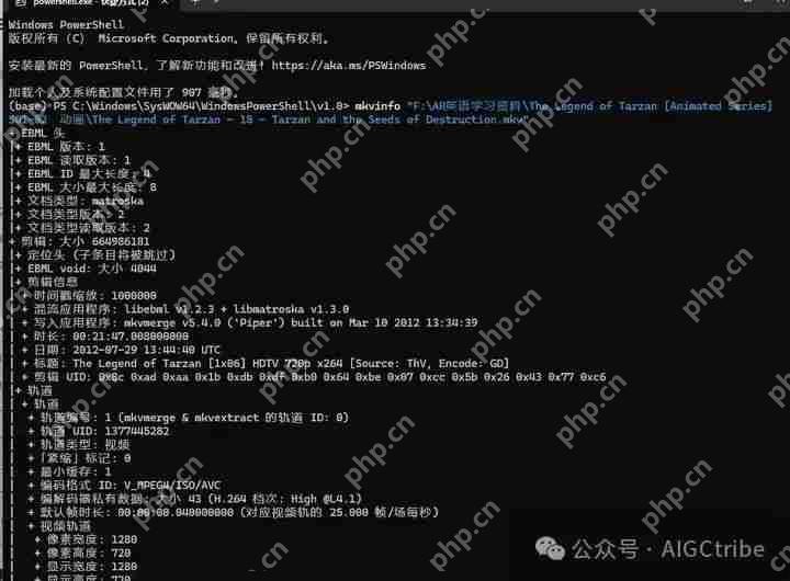 Deepseek批量调整视频的默认音频声道