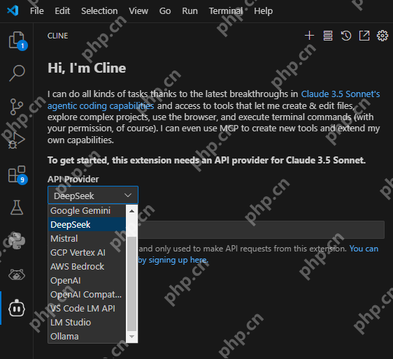 使用Cline+deepseek实现VsCode自动化编程，吃着火锅就把代码写完了