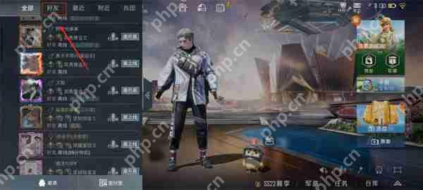 和平精英设置隐身登录方法攻略