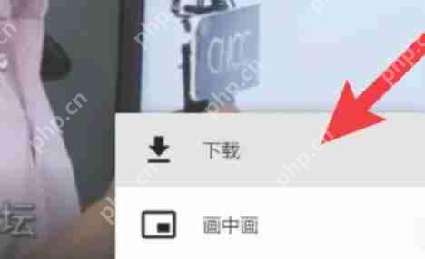 谷歌浏览器怎么下载视频-谷歌浏览器下载视频的方法